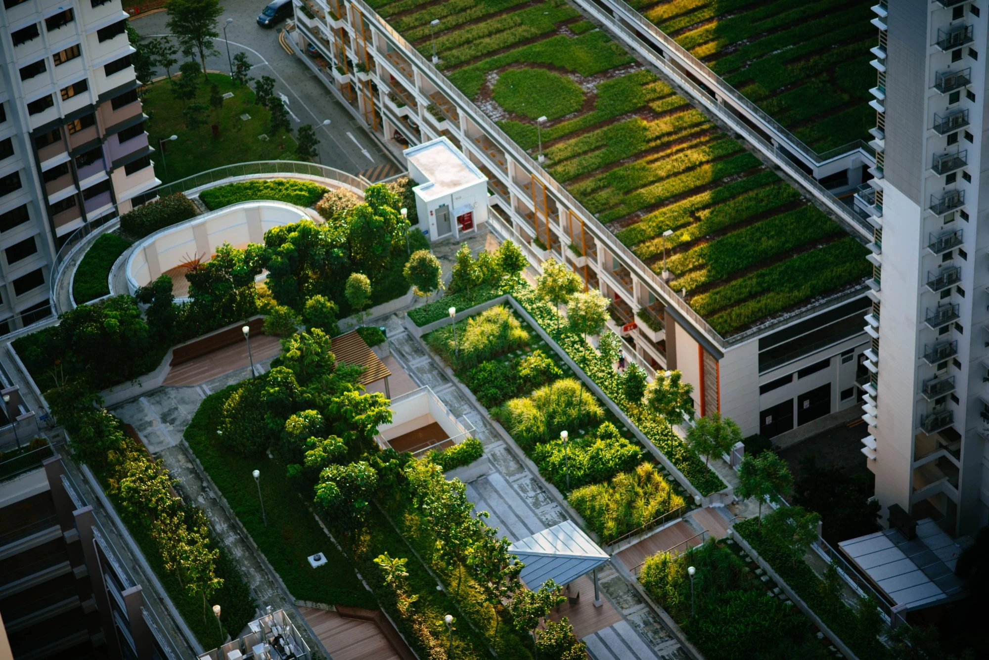 Surat Eco-Friendly Initiatives