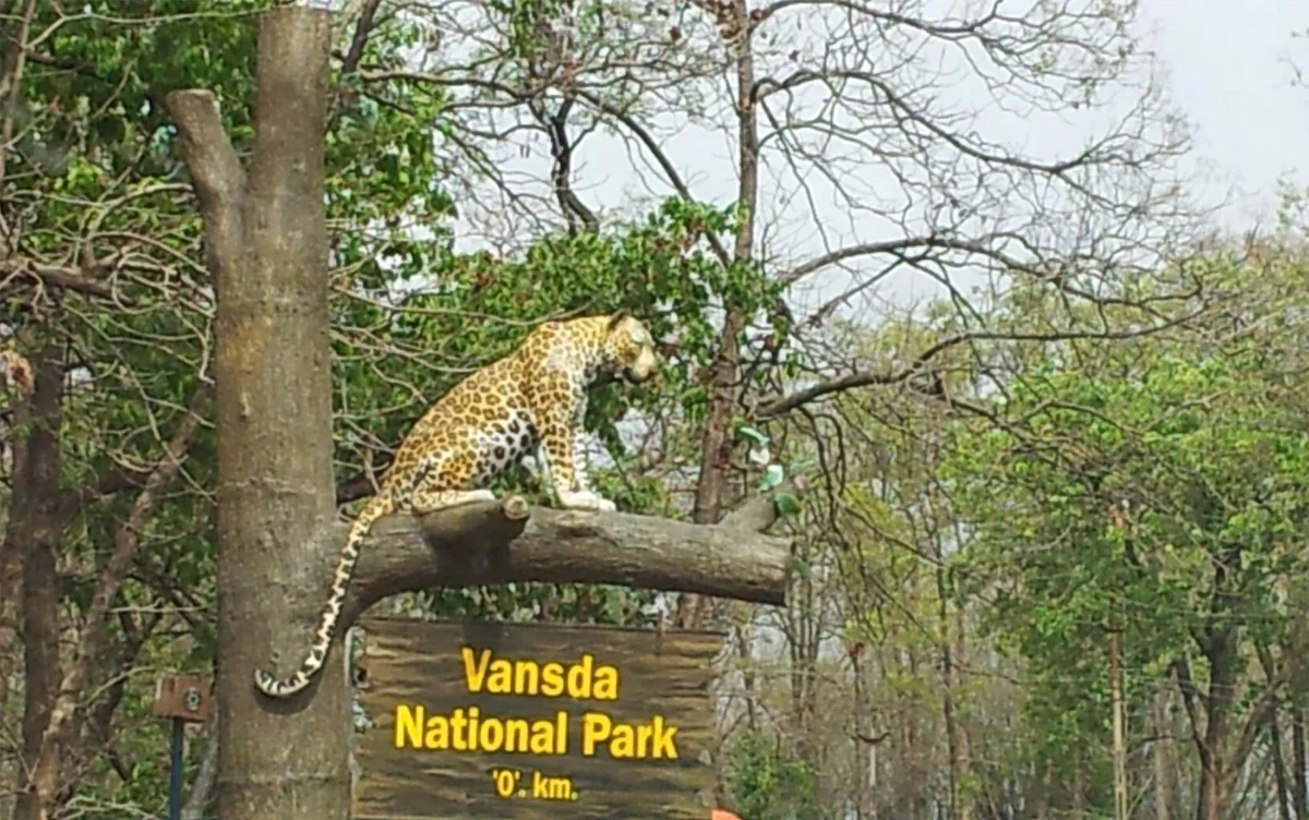 Vansada National Park