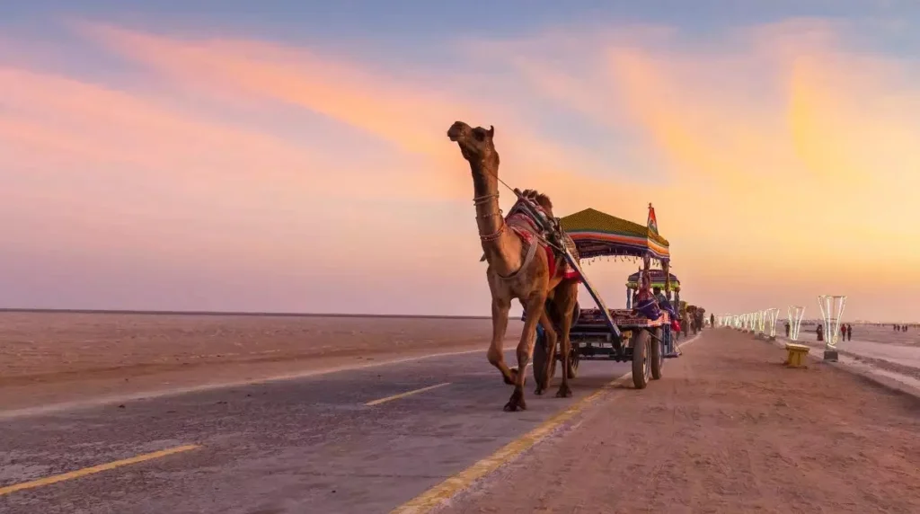 Kutch Rann Utsav 2025