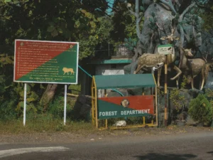 Gir National Park