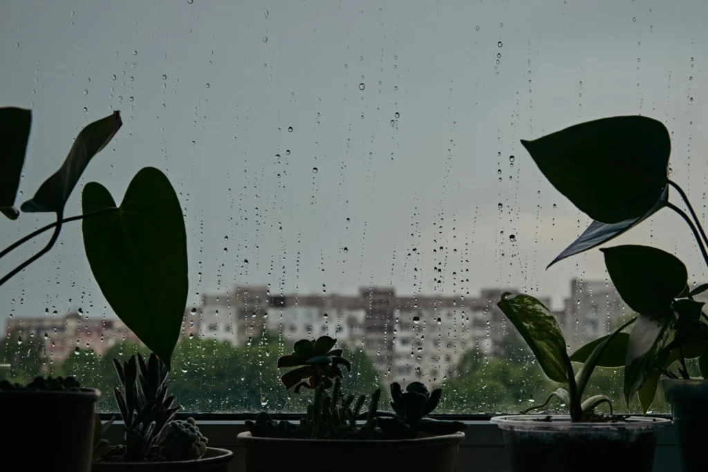 Surat Monsoon